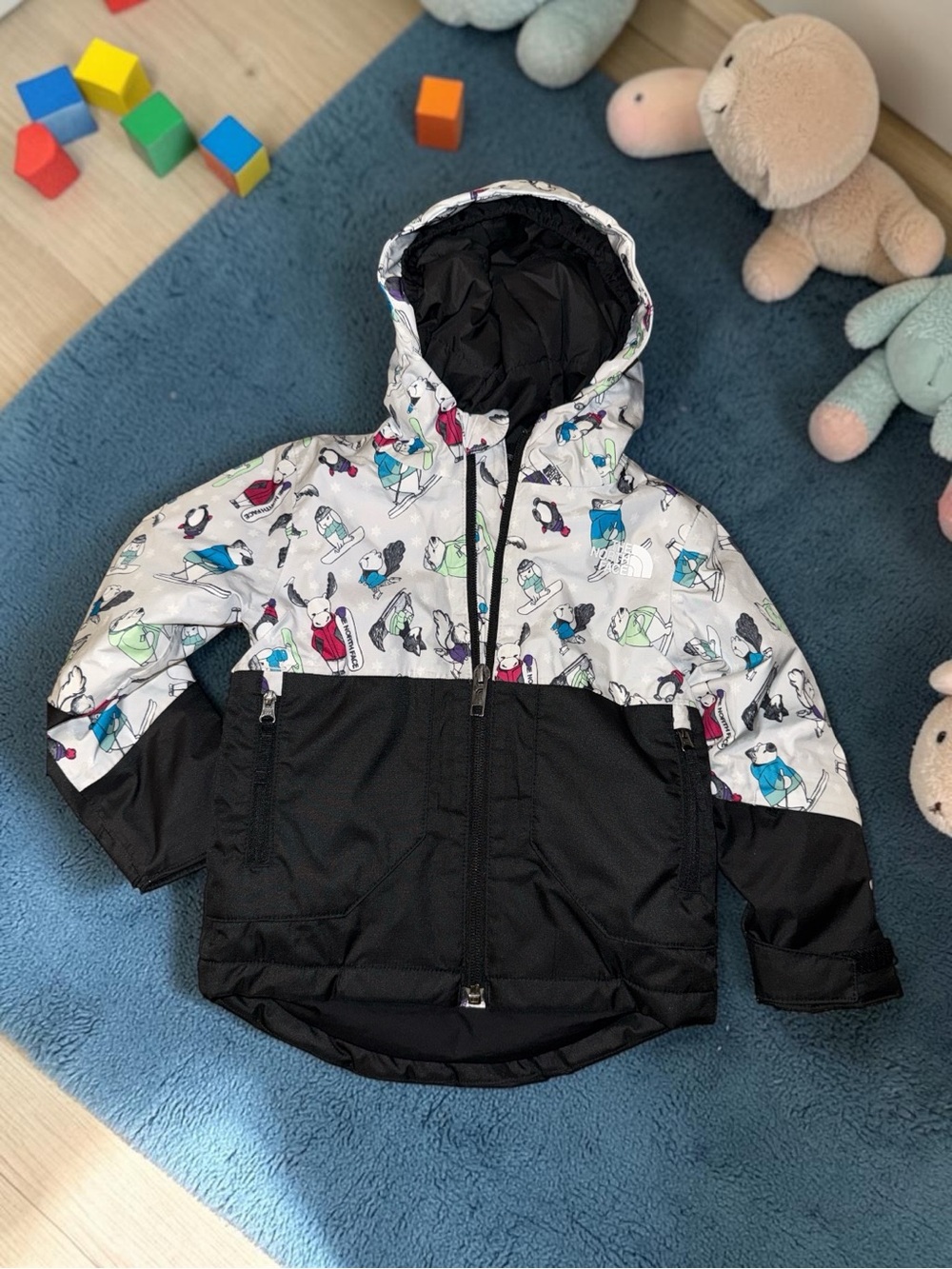 North Face Kids' 2T Ski Snowboard Waterproof Insulated Jacket